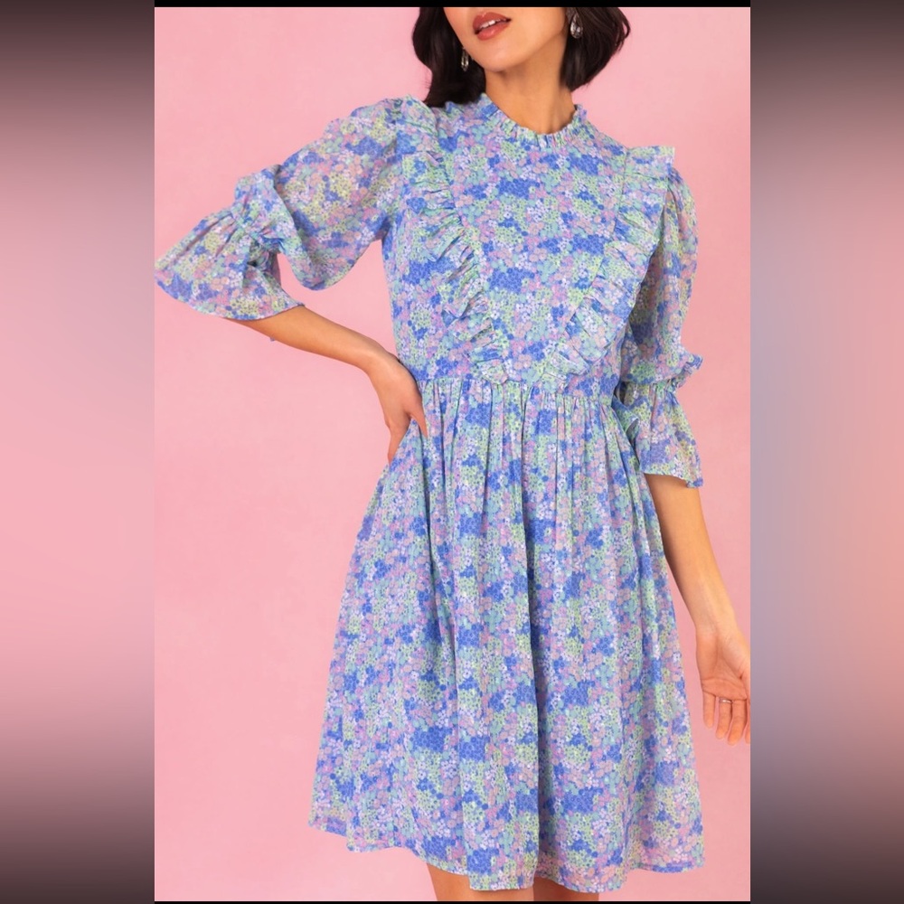 Ivy City Monet Dress 14 NWT Floral